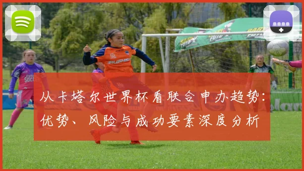 从卡塔尔世界杯看联合申办趋势：优势、风险与成功要素深度分析