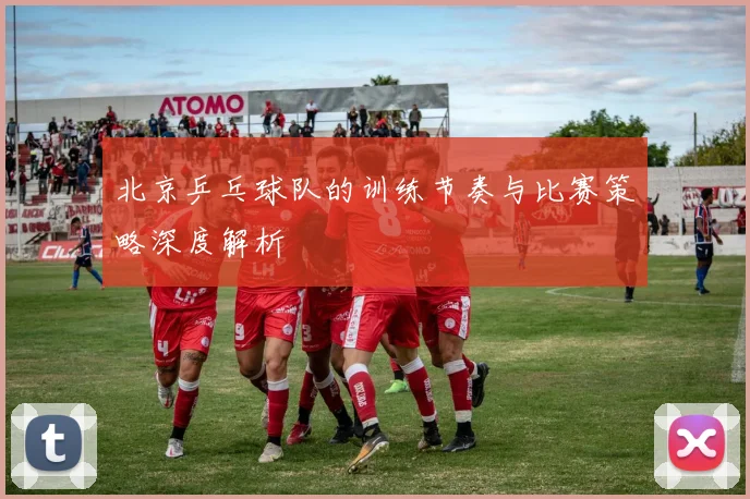 北京乒乓球队的训练节奏与比赛策略深度解析